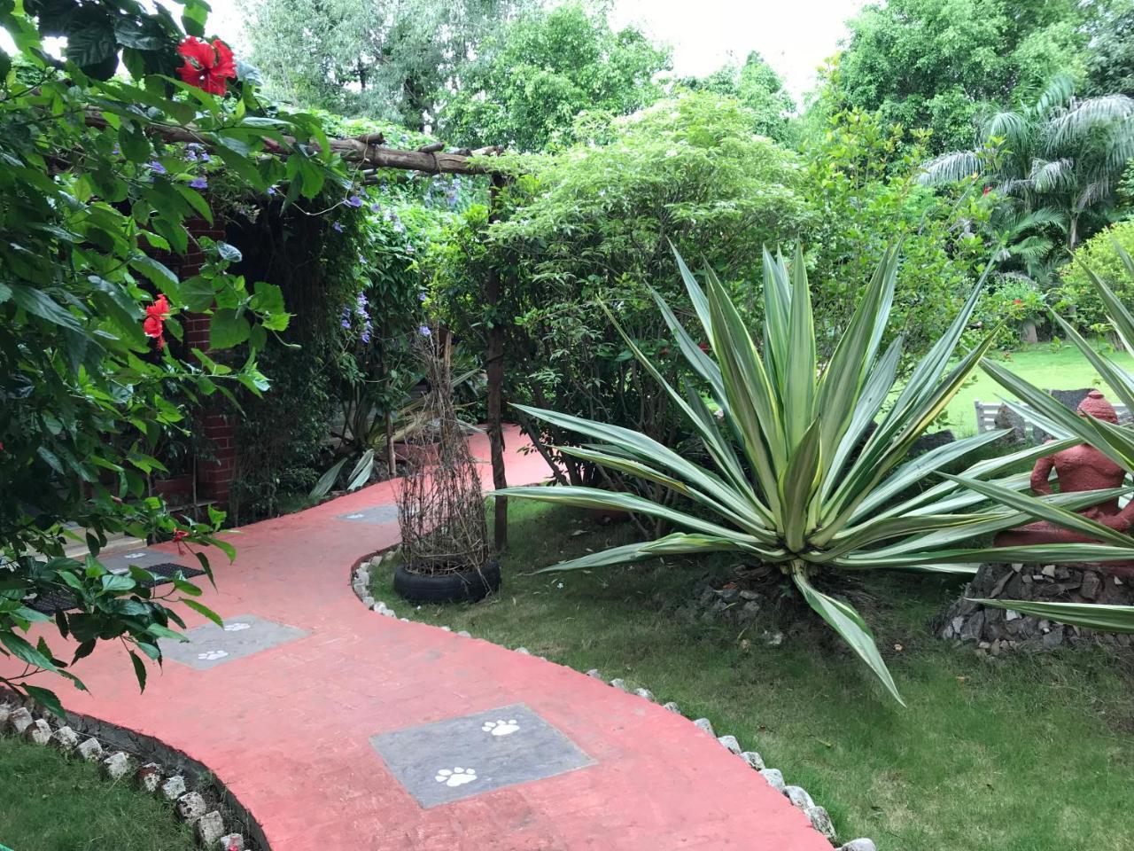 Baaz Jungle Resort Khawāsa Exterior foto
